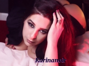 Karinanoir