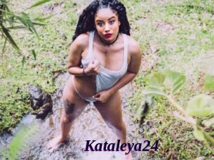 Kataleya24