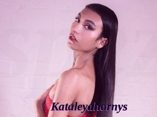 kataleyahornys Spezial Sexcam