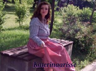 Katerinaarisse