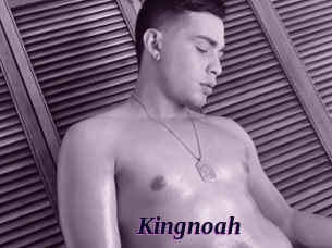 kingnoah Spezial Sexcam