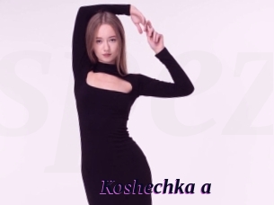 Koshechka_a