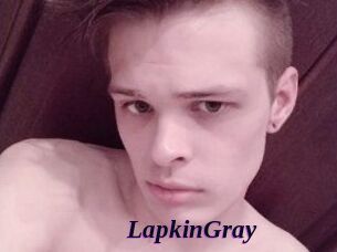LapkinGray