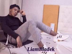 LiamBladek