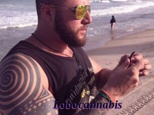 Lobocannabis