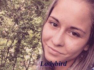 Ladybird