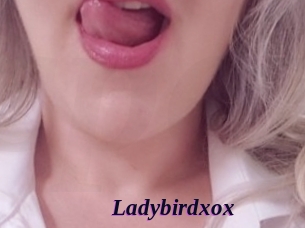 ladybirdxox Spezial Sexcam