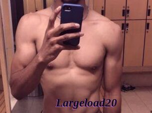 Largeload20