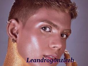 Leandrogonzlezh