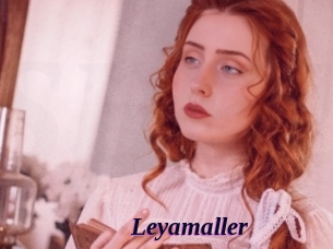 Leyamaller
