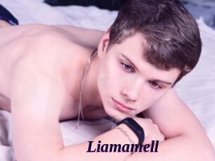 liamamell Spezial Sexcam