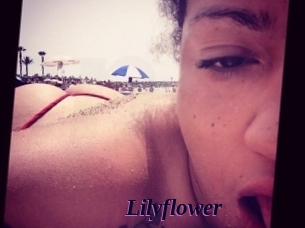 Lilyflower