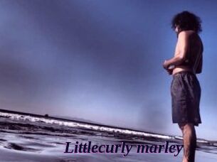 Littlecurly_marley