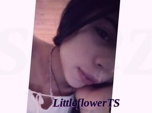 LittleflowerTS