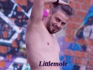 Littlemole