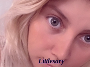 littlesary Spezial Sexcam