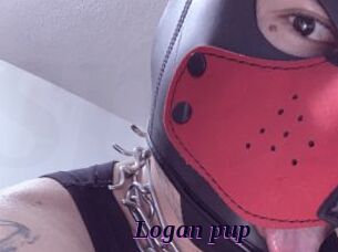 Logan_pup