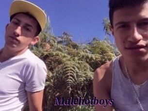 Malehotboys