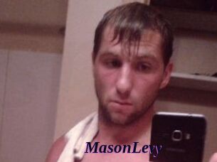 Mason_Levy