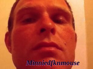 Minniedfknmouse
