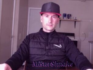 MisterShnake