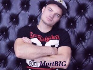 MortBIG