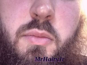 MrHairyJr
