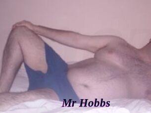 Mr_Hobbs