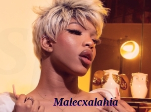 malecxalahia Spezial Sexcam