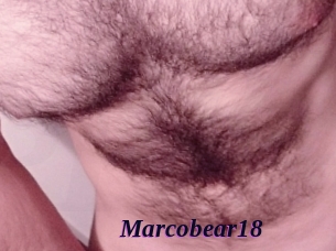 Marcobear18