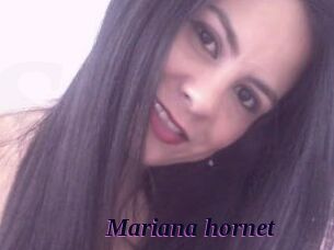 Mariana_hornet