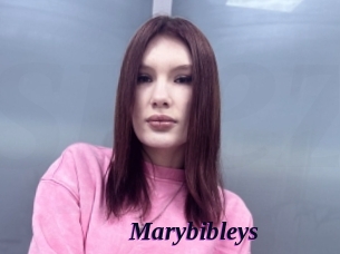 Marybibleys