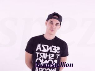Mattestallion