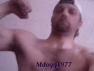 Mdogg1977