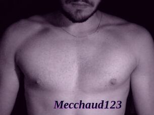 Mecchaud123