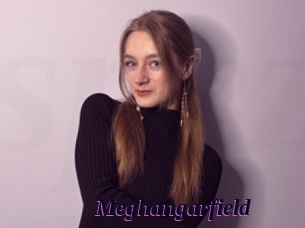 Meghangarfield