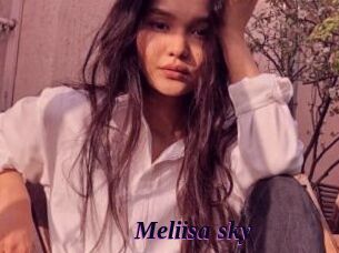 Meliisa_sky