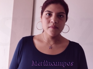 Merlincampos