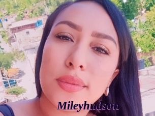 Mileyhudson