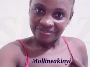 Mollineakinyi