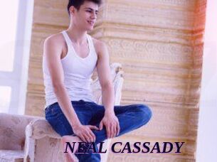 NEAL_CASSADY Spezial Sexcam