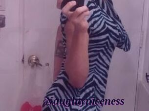 Naughtyniceness
