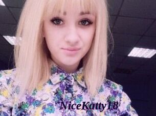 NiceKatty18
