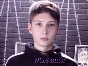 NileStoune
