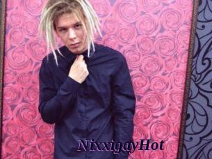 NixxigayHot Spezial Sexcam