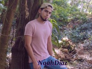 NoahDiaz