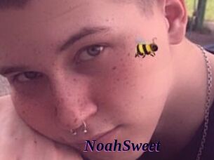 NoahSweet