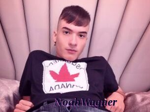 NoahWagner