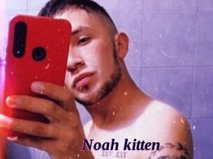 Noah_kitten