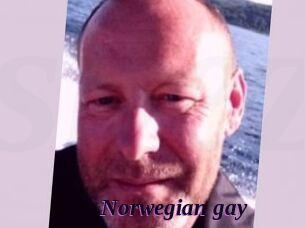 Norwegian_gay